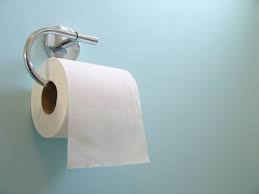 Worst Toilet Paper For Plumbing